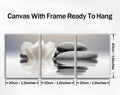 White Zen Lotus Canvas Set – 3 Pieces